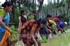 Students get a feel of farm activity; take part in Neji Naati at Konaje
